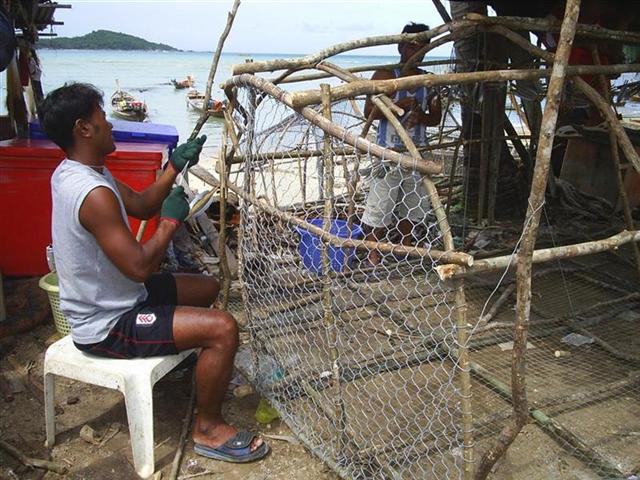 Fish traps